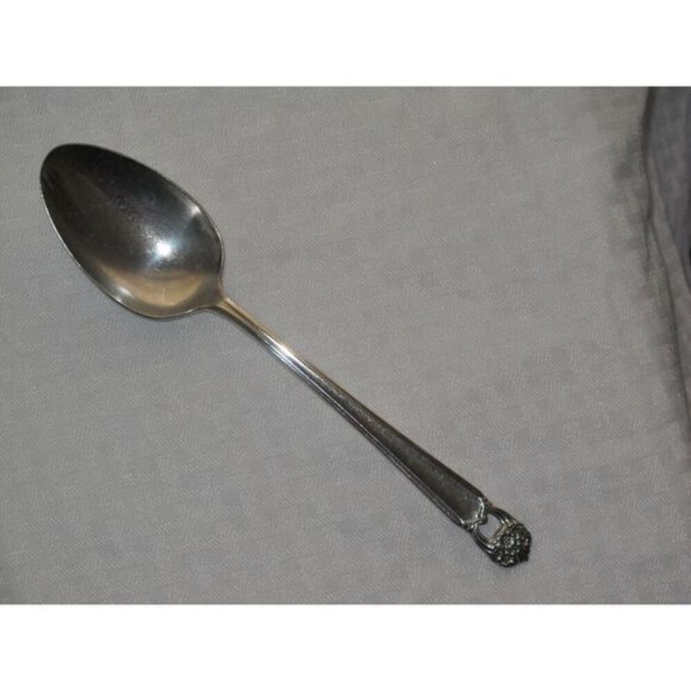 1847 Rogers Bros Eternally Yours Serving Spoon‎ (s)